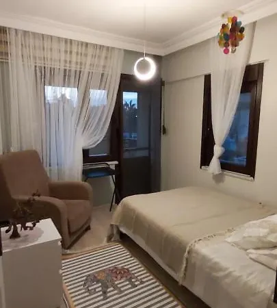 Havuzlu Bahceli Muestakil シダ