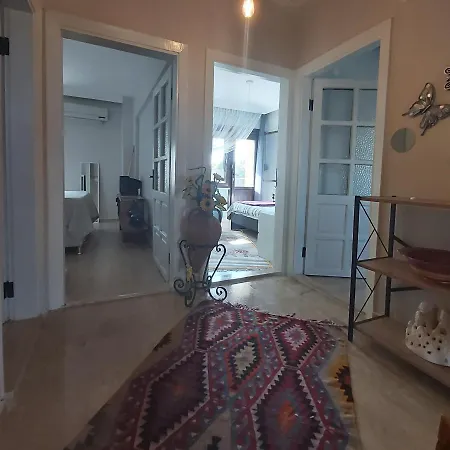 Havuzlu Bahceli Muestakil シダ
