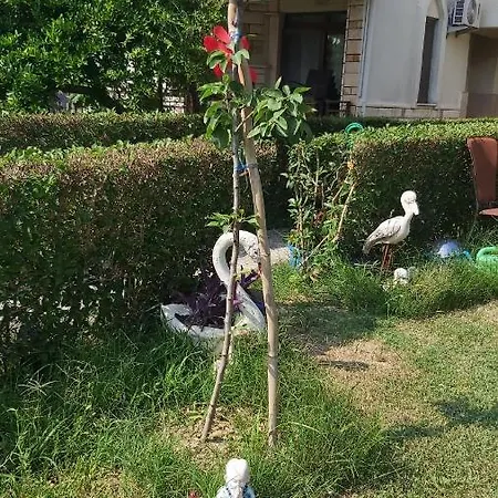 Havuzlu Bahceli Muestakil Apartamento Side